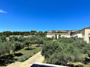 Lou Olivie, appartement climatisé avec piscine aux pieds Alpilles